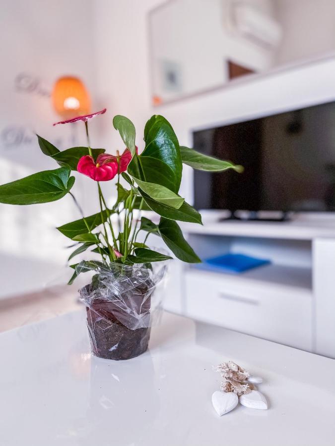 Myhouse Inn Torino - Affitti Brevi Italia 콜레뇨 외부 사진